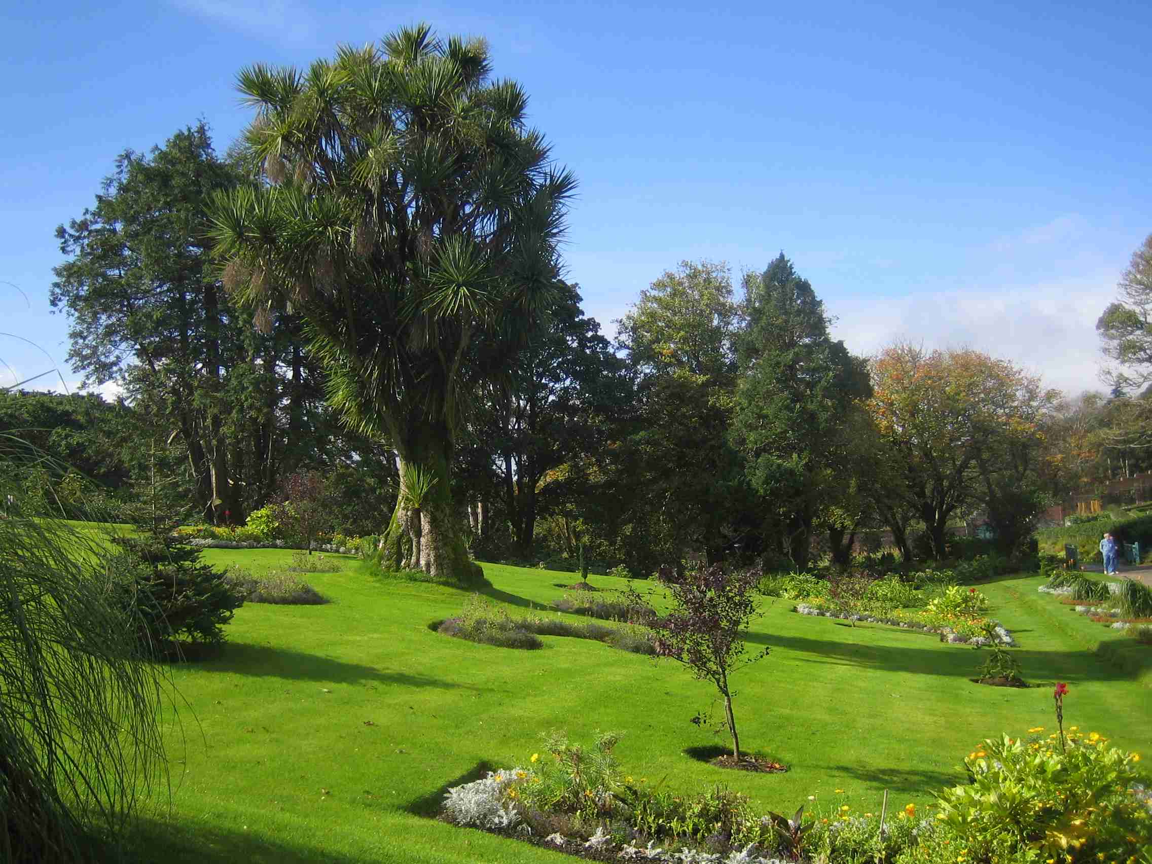 jardin